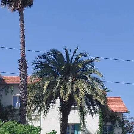 Palma, Independant Dans Maison De Charme Avec Jardin En Centre *