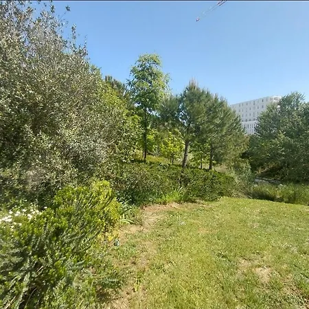Apartment Palma, Independant Dans Maison De Charme Avec Jardin En Centre