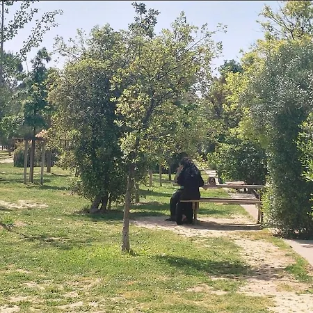 Palma, Independant Dans Maison De Charme Avec Jardin En Centre