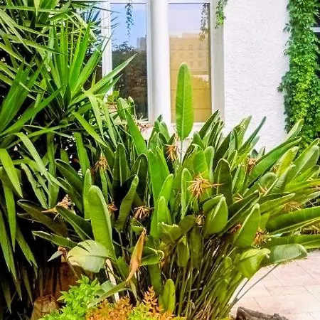 Palma, Independant Dans Maison De Charme Avec Jardin En Centre *