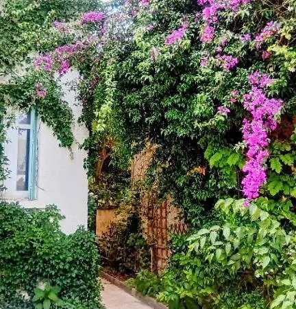 Apartment Palma, Independant Dans Maison De Charme Avec Jardin En Centre *